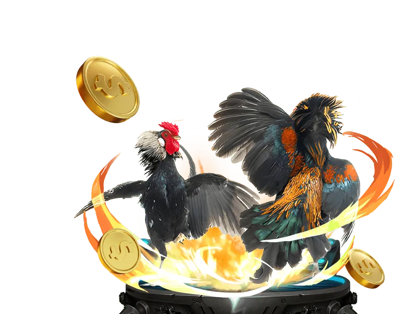 Chương trình từ thiện HL88